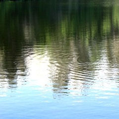 Ripples