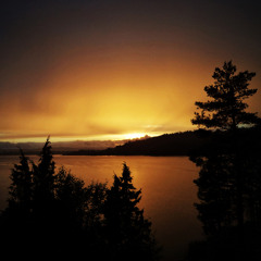 Rise of the Wistful Lantern