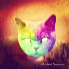 Dimitri Vegas & Like Mike & Calvin Harris - We'll Be Coming Back (Maximal Garvanin Mashup)