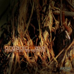 Expedizion - Southamerican Zion (Breaky remix) l (V/A Kupuri Music)