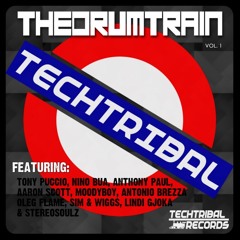 Aaron Scott - The Drum Train (Original Mix) TechTribal