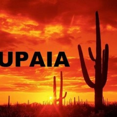 tupaia