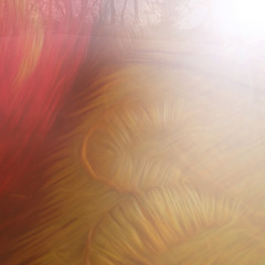 Cognizance Mix