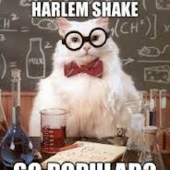 Javanese Harlem 'fuckin' Shake Anthem