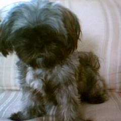 I'm not gonna teach(ur baby how to dance with you)