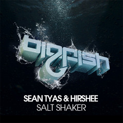 Sean Tyas & Hirshee - Salt Shaker