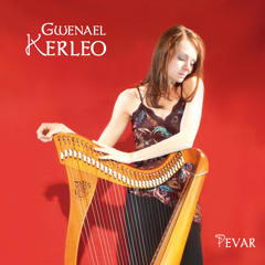 Gwenael Kerleo - Na ouel ket - Harpe Celtique - Celtic Harp