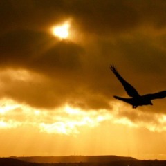 Top Ten Most Played Tracks from 2013