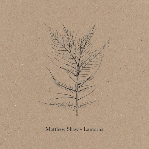 Matthew Shaw: Bo-Lech