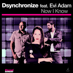 Dsynchronize feat. Evi Adam - Now I Know [preview]