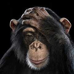 A Fith of Beethoven x Signs