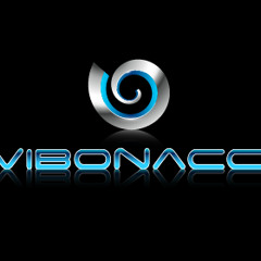 "Not Exactly Night Out" Martin Solveig & Deadmau5 (Vibonacci Live 714hz Mix)
