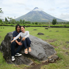 Narz and JoY-Seven golden daffodils