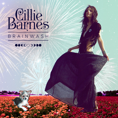 Cillie Barnes - Brainwash