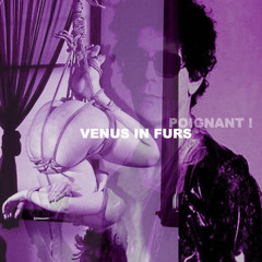 Venus in furs