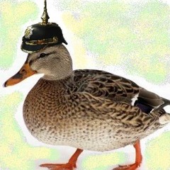 Prussian Military Duck