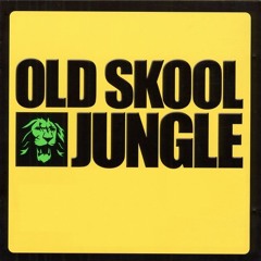 Old school Ragga Jungle mix