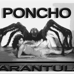 Nada cuesta - PonchoTarantula