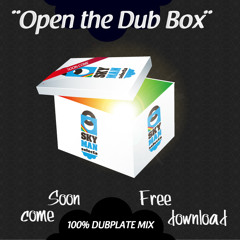 Intro Skyman "Open The Dub Box" 100% Dubplates Mixtape
