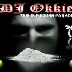 DJ Okkie - This is fucking paradise