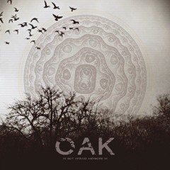 Time is my worst enemy ( Oak - Not Afraid Anymore - 2013 )