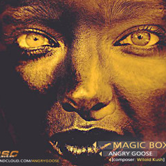 ANGRY GOOSE - MAGIC BOX