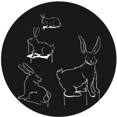 WRR005_YOUNG RABBITS V.A. (Out Now_12")