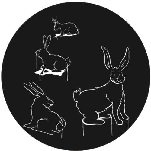 WRR005_YOUNG RABBITS V.A. (Out Now_12")