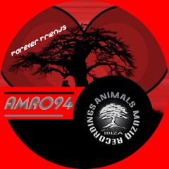 Dany T & Pako Parisi - Funkool (Animals Muziq Recordings)