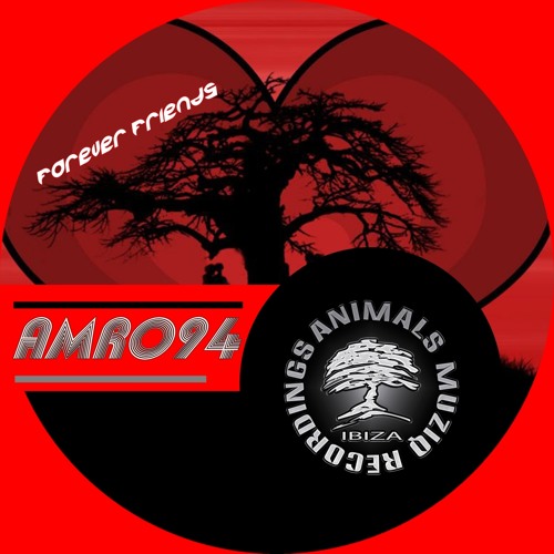 Dany T & Pako Parisi - Funkool (Animals Muziq Recordings)