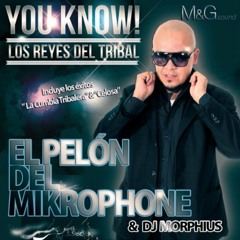 El Pelon del Microphone Celosa  Tribal  Remix