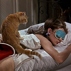 Sleepyhead, I Want You Back