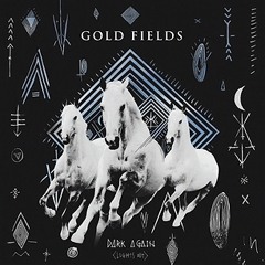 Gold Fields - Dark Again (Pigeon Remix)