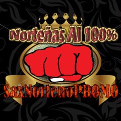 Sax Norteno PROMO! (2013) Norteno Mixx 1.10-4  Lol video coming out soon! :P