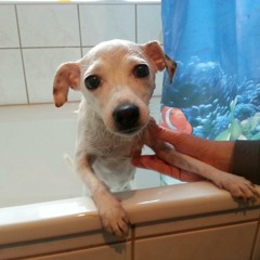 Schnupperkurs/ kleiner Einblick-at work