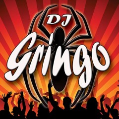 Cantina Mix   Dj Gringo  Pueblo Nuevo