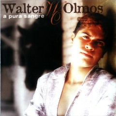 Un ángel en el cielo - Walter Olmos