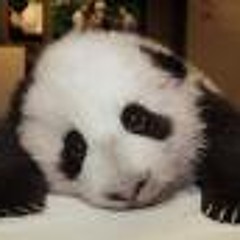 Best Chinese Techno Ever