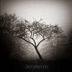 Sorrow 'Dreamstone ft CoMa'