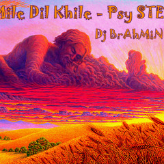 Dj Brahmin & BoDo - Tum Mile Dil Khile Psy-STEP MiX