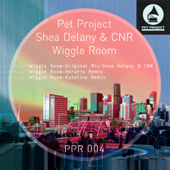 Shea Delany & CNR - Wiggle Room (Horatio Remix)