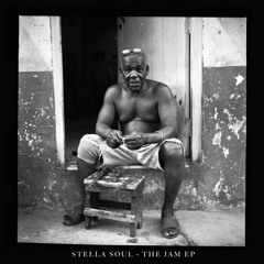 Stella Soul - Cool Guy ft. Sol Lopez (Monkey Safari Remix)