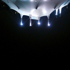 Björk - Thunderbolt [live]