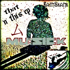 Ram Skank - Insert The Music