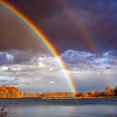 She's like a rainbow