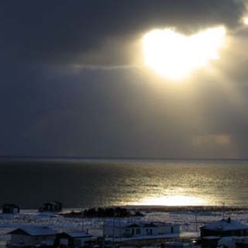 Ziesel - Nachtschatten