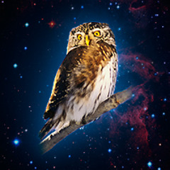 Love Thing (Joe Satriani Cover)