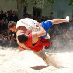 Qartuli sachidao tema