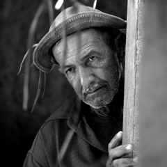 Veredas by Aluísio Coelho