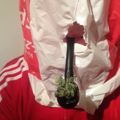 Wrong Path (Prod. Franky Fourfinger) BEATS & PIPES